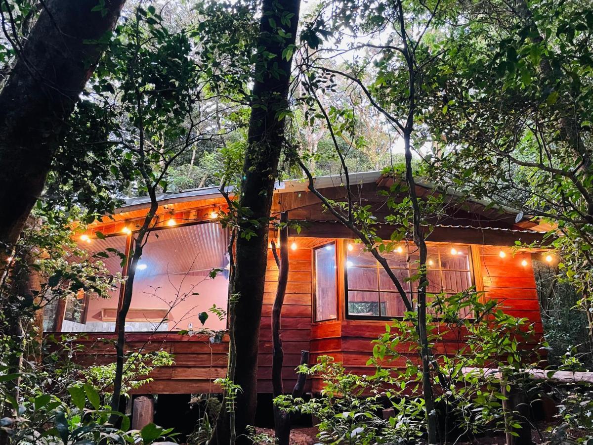 Cabanas La Montana Mountain Lodge Monteverde Exterior foto
